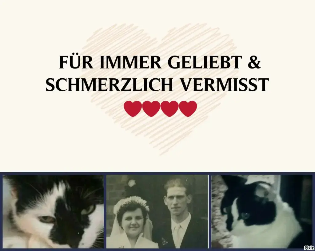 Condolence image of Annemarie und Elke mit ihren vier Engel🪽🪽🪽🪽