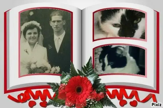 Condolence image of Annemarie und Elke mit Snoopy und Pünktchen❤️❤️