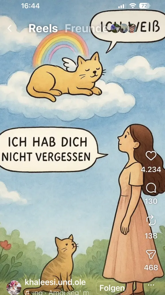 Condolence image of An Timmy und Tanja
