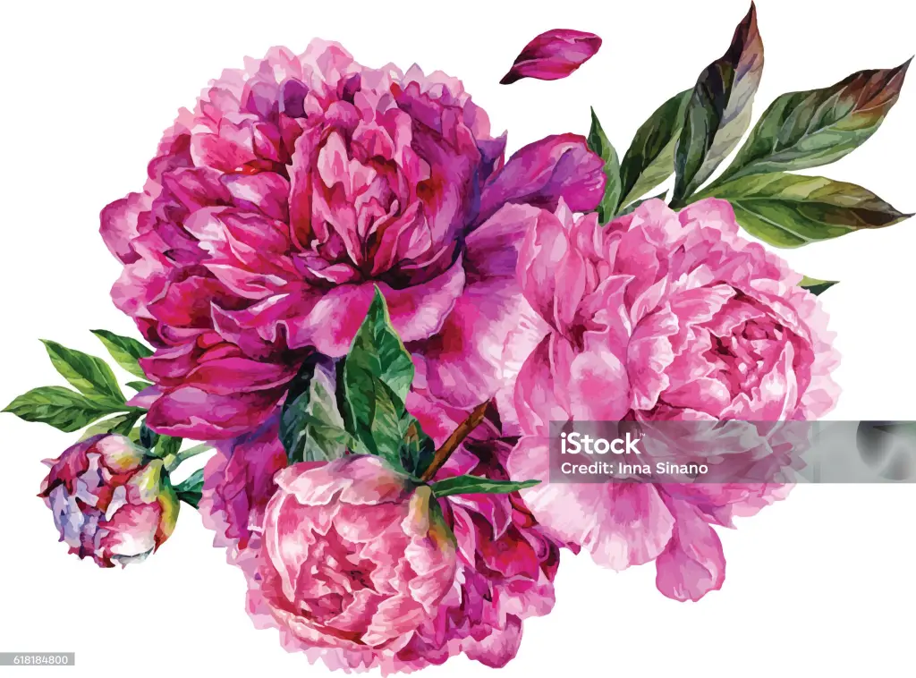 Condolence image of für den Sternenprinz Timmy ✨✨✨✨