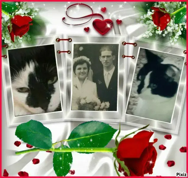 Condolence image of Snoopy und Pünktchen❤️❤️