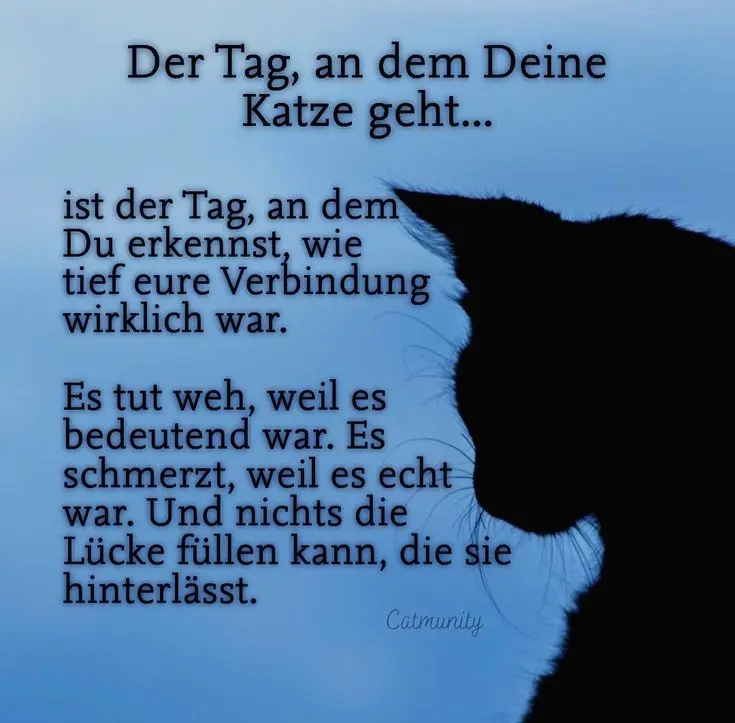 Condolence image of Snoopy und Pünktchen❤️❤️