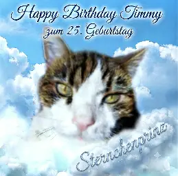 Condolence image of 🎂💌Happy Birthday Sternchenprinz Timmy✨