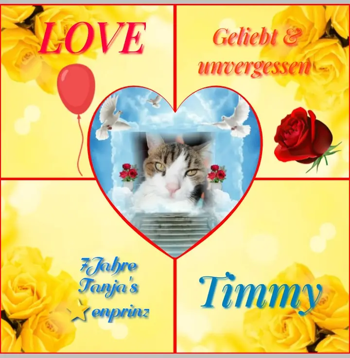 Condolence image of Corinna ❤️ für Timmy zum 7.⭐