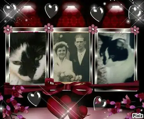Condolence image of Snoopy und Pünktchen❤️❤️