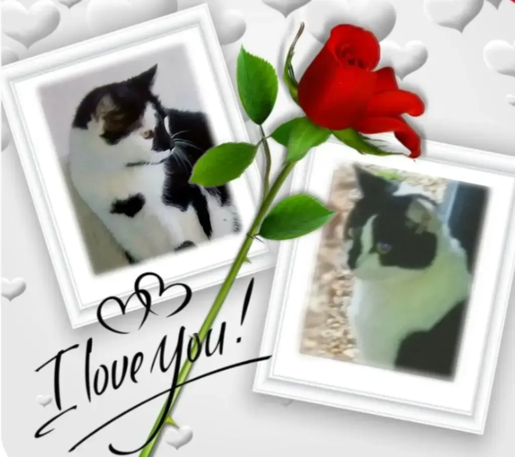 Condolence image of Snoopy und Pünktchen❤️❤️