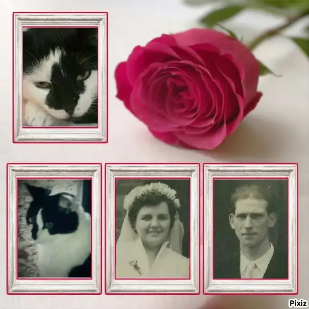 Condolence image of Snoopy und Pünktchen❤️❤️