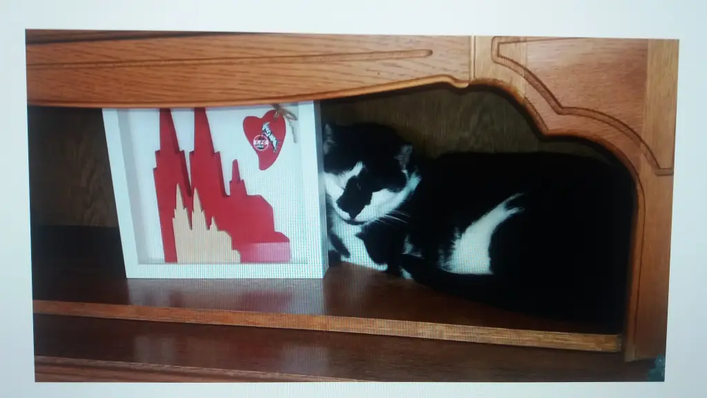 Condolence image of Annemarie und Elke mit Snoopy im Herzen gest.04.01.2022