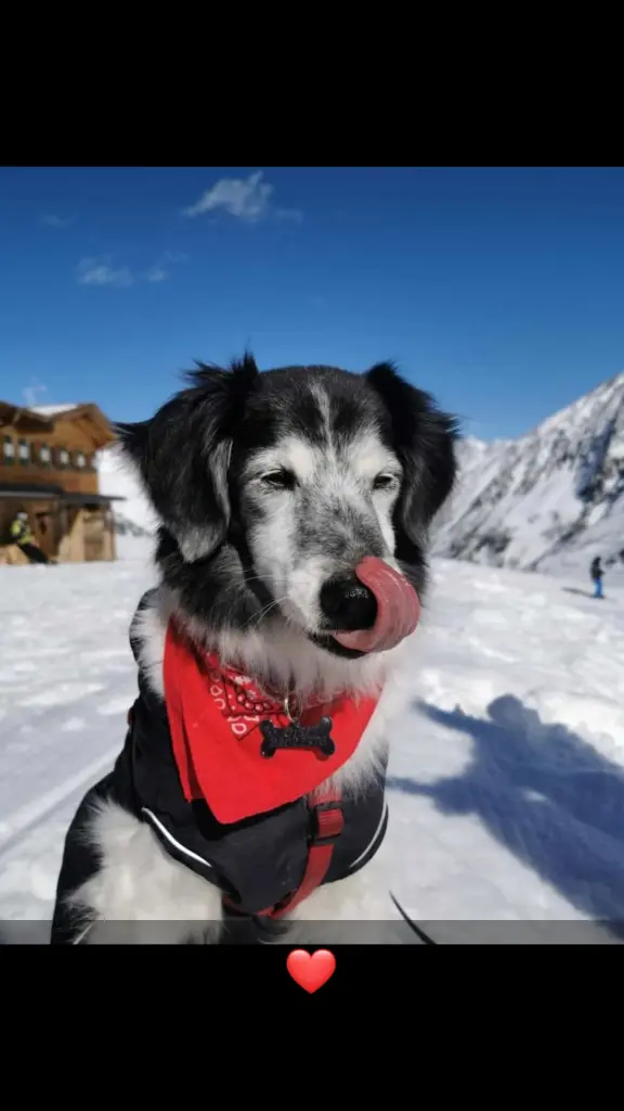 Condolence image of Sonia