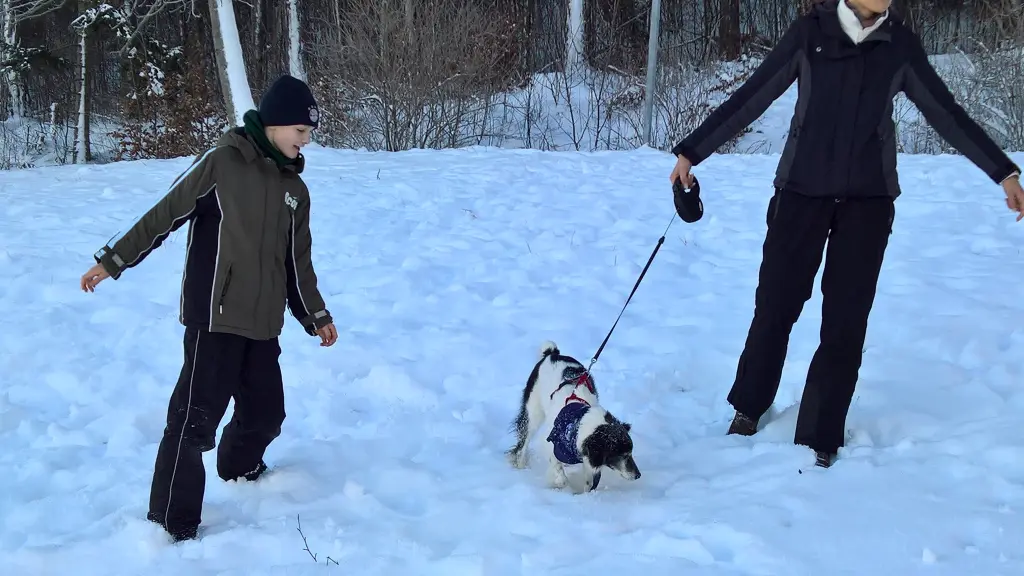 Condolence image of Uli, Madeleine & Luca
