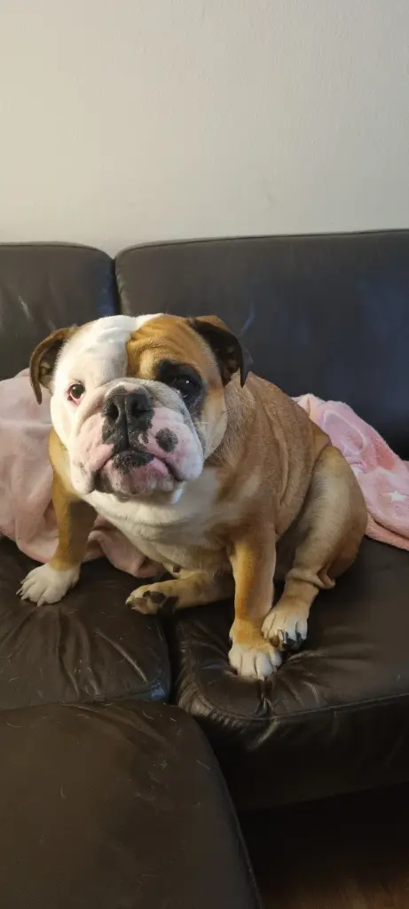 Condolence image of Dennis