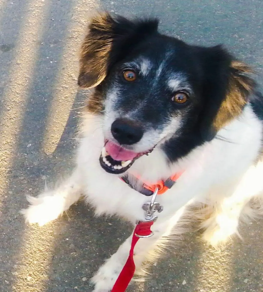 Image from Bootsmann