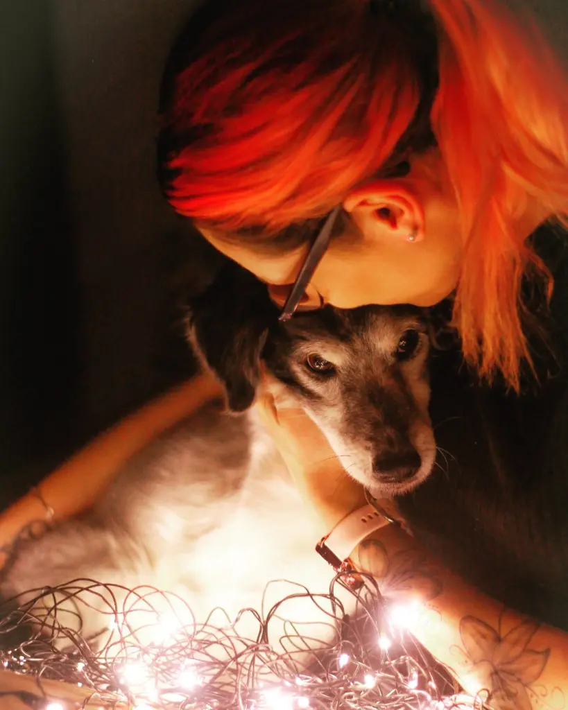 Image from Bootsmann