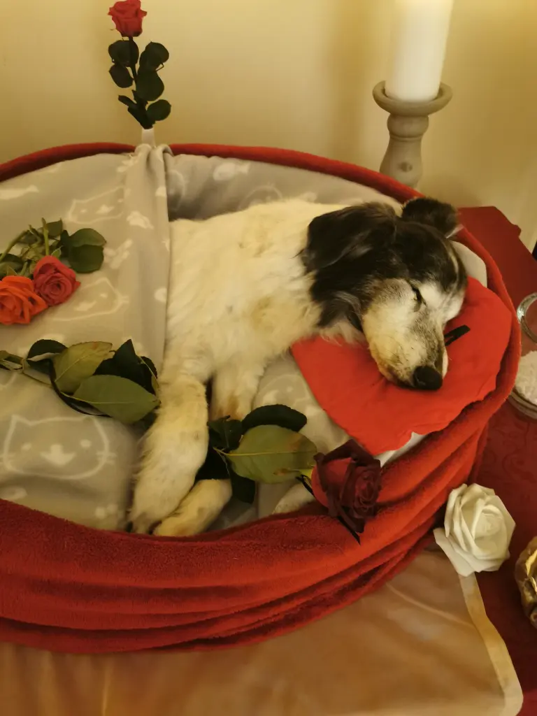 Image from Bootsmann