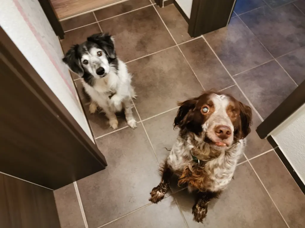 Image from Bootsmann