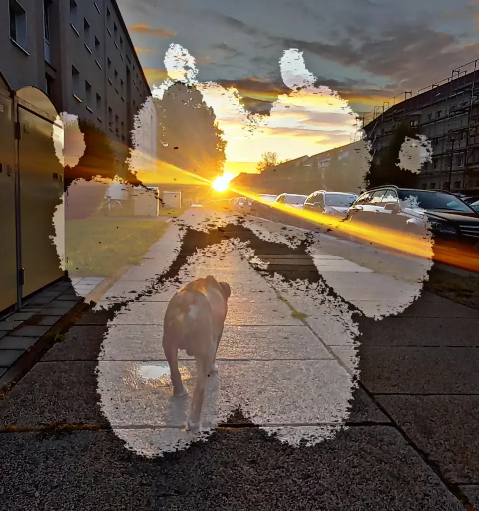 Image from Djego
