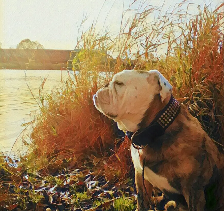 Image from Djego