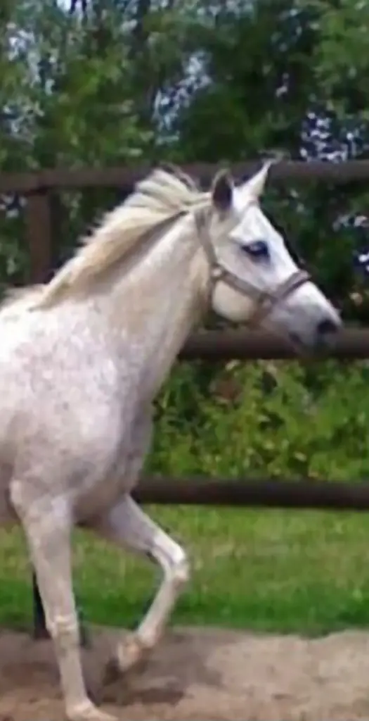 Condolence image of Susanne ❤️ Ihnken 