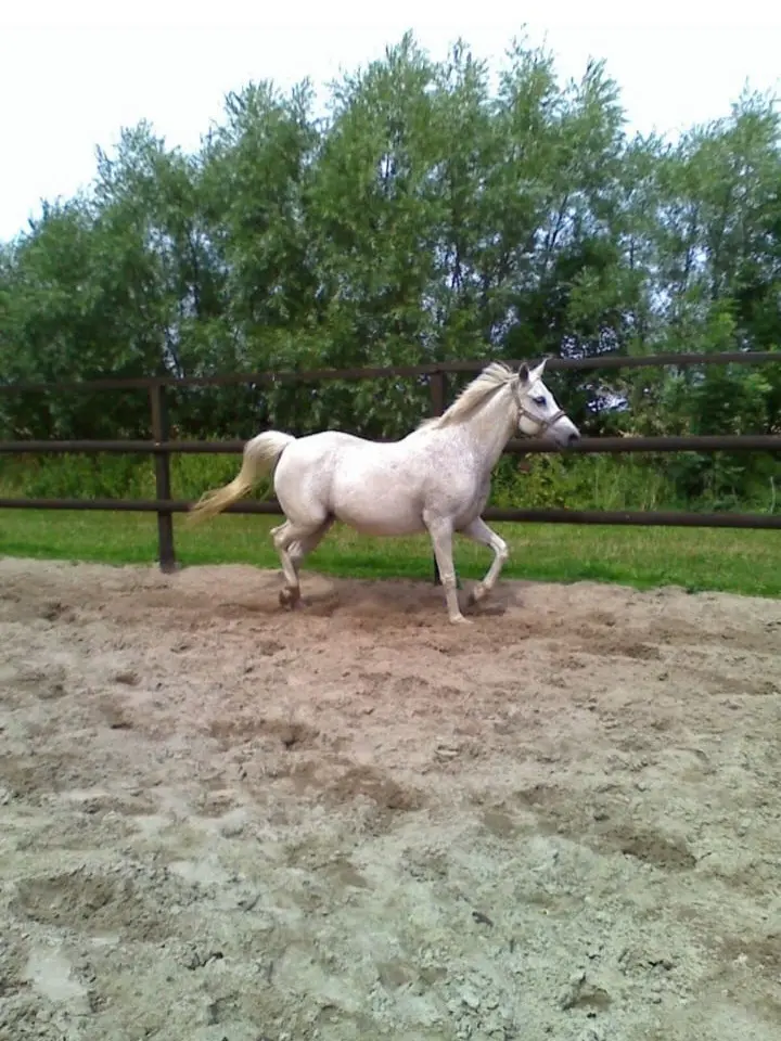 Image from Lady (Mutzi)