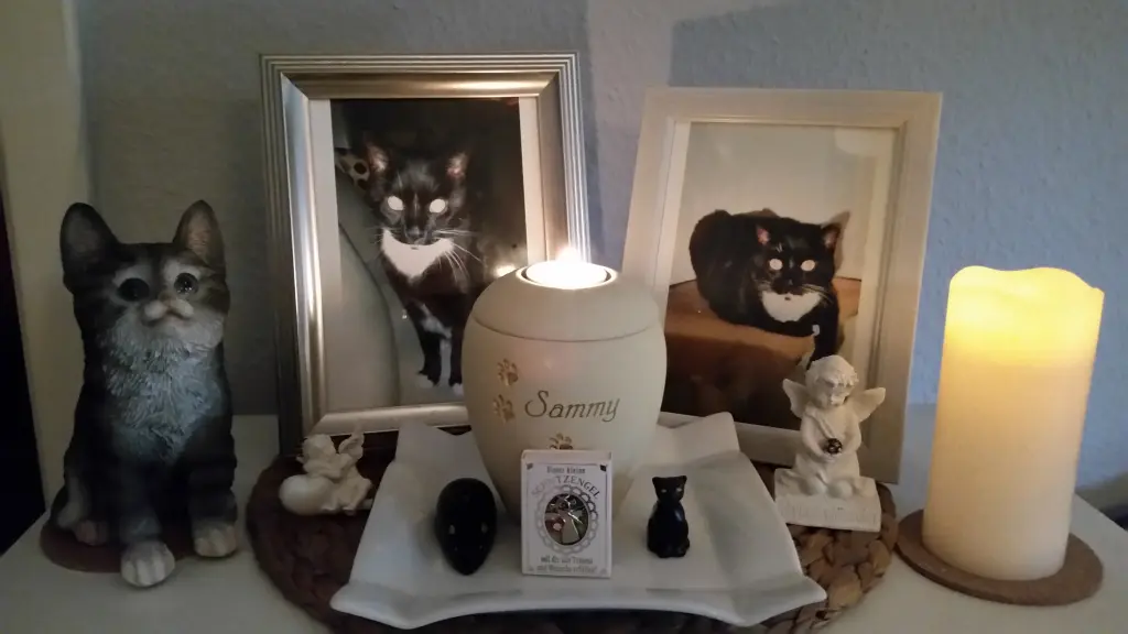 Condolence image of Patricia Peroni