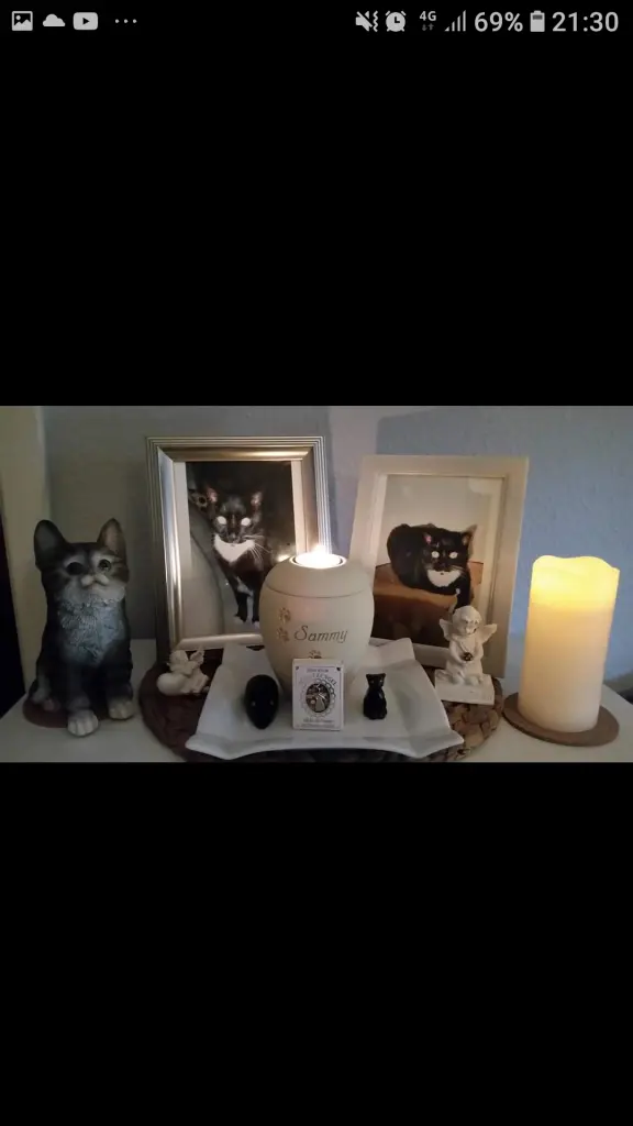 Condolence image of Patricia Peroni