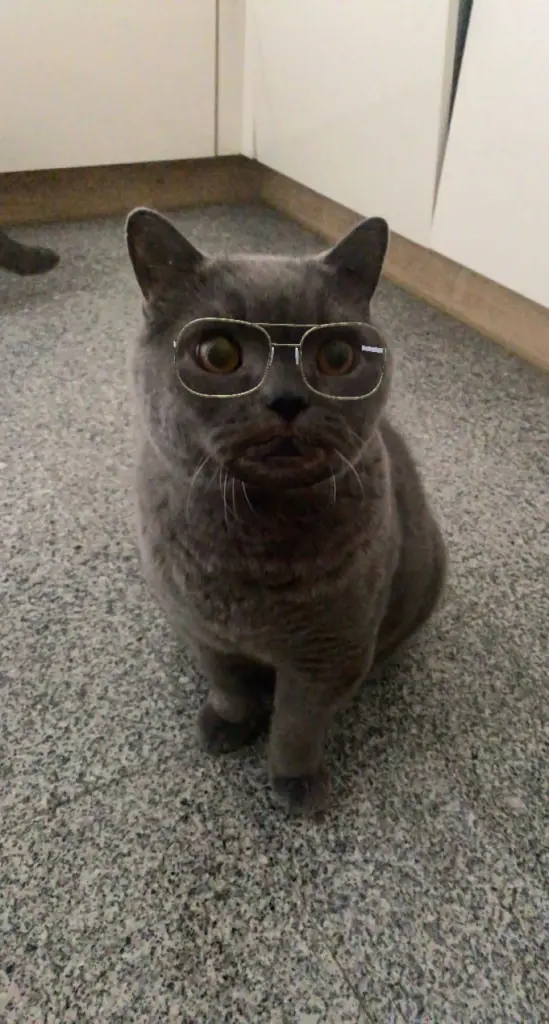 Image from Balou