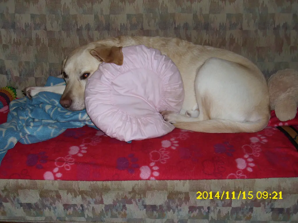 Condolence image of Beate