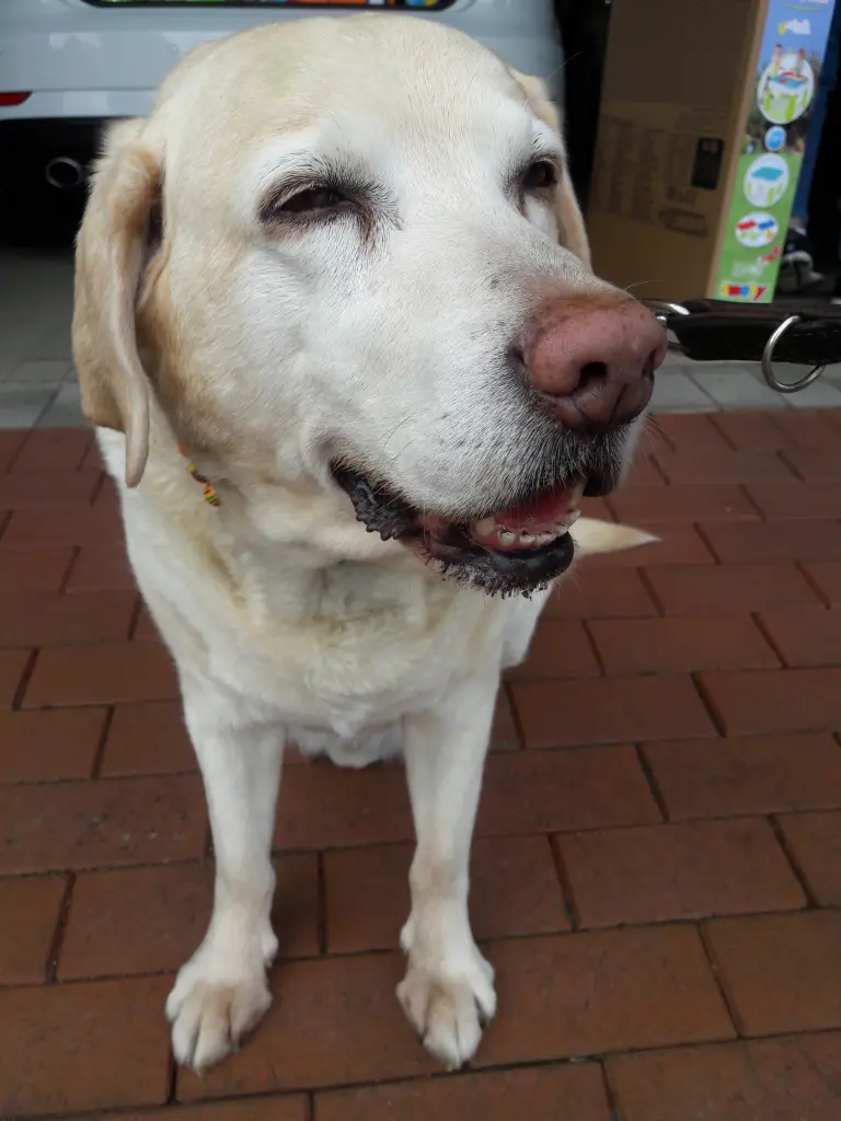 Image from Nathan