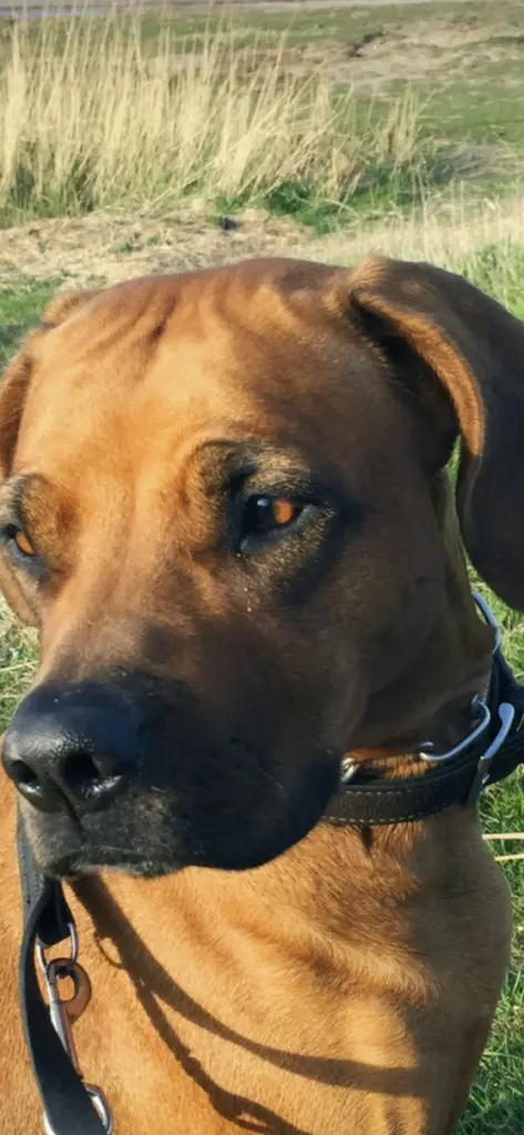 Condolence image of Gisela
