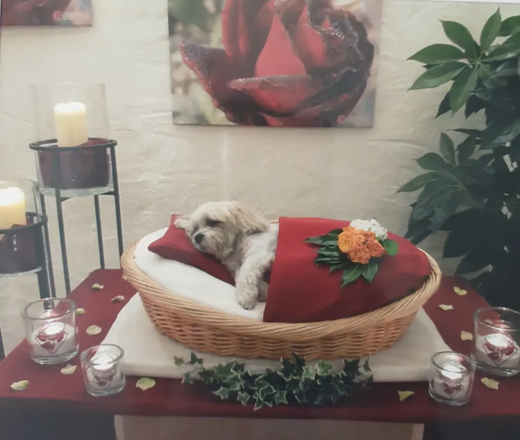 Condolence image of Nicole