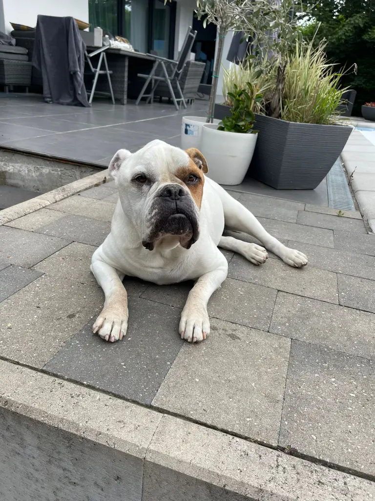 Image from Spike