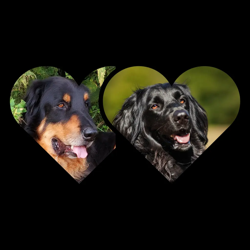 Image from Jasper