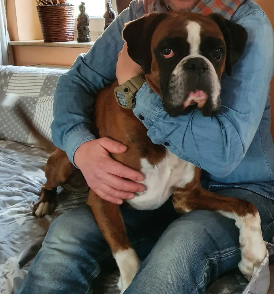 Condolence image of Karina und Jörg mit Floyd im ❤