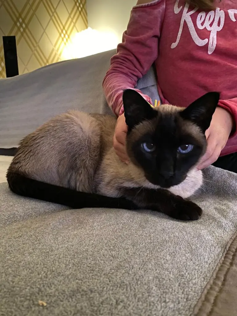 Image from Felix