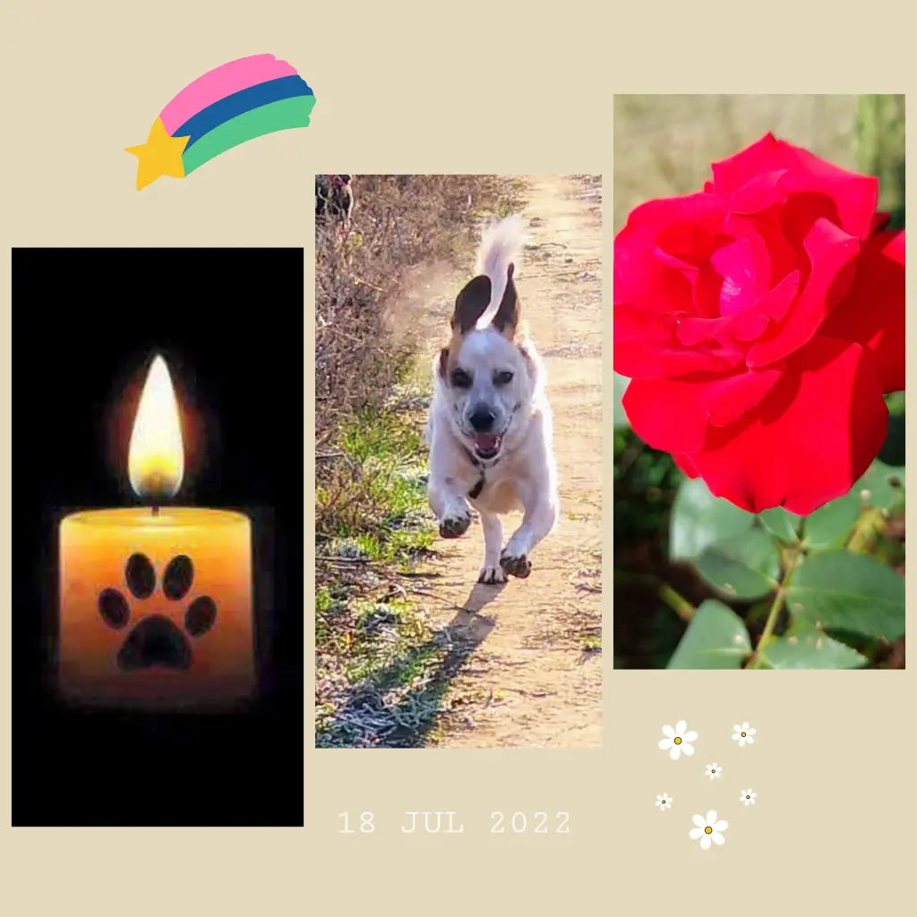 Condolence image of Susanne