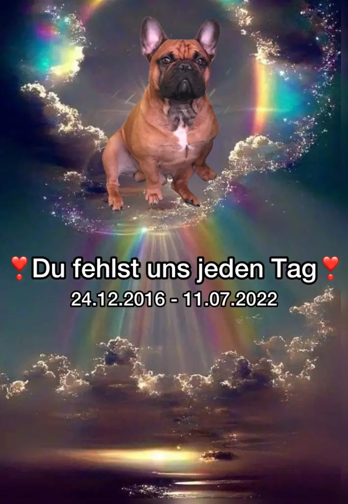 Condolence image of Micha & Jan