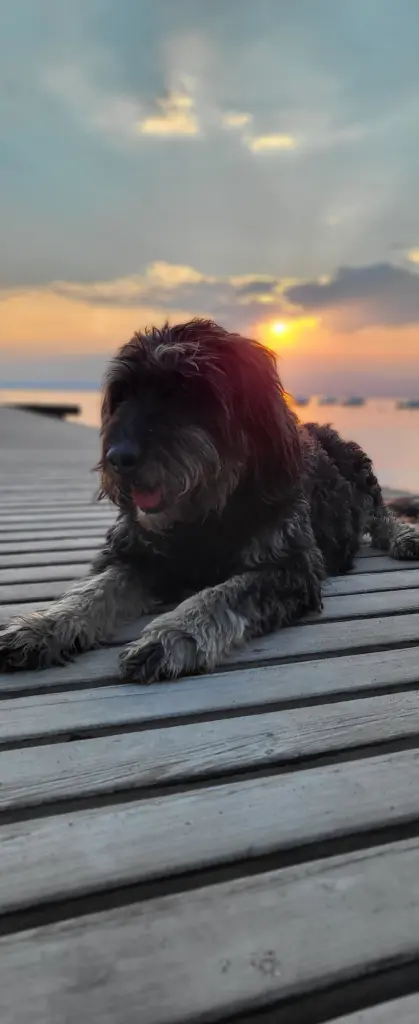 Image from Sally