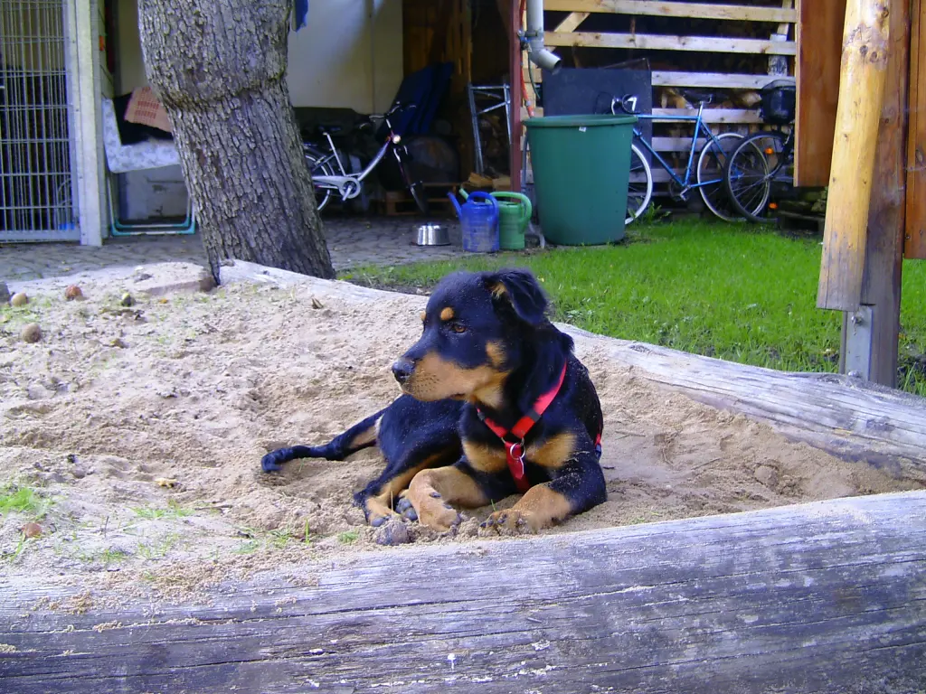 Condolence image of Angelika