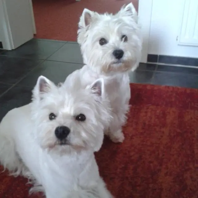 Condolence image of Sigrid