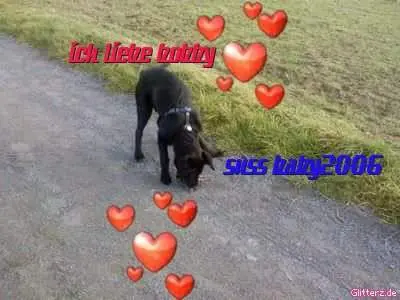 Image from Bobby