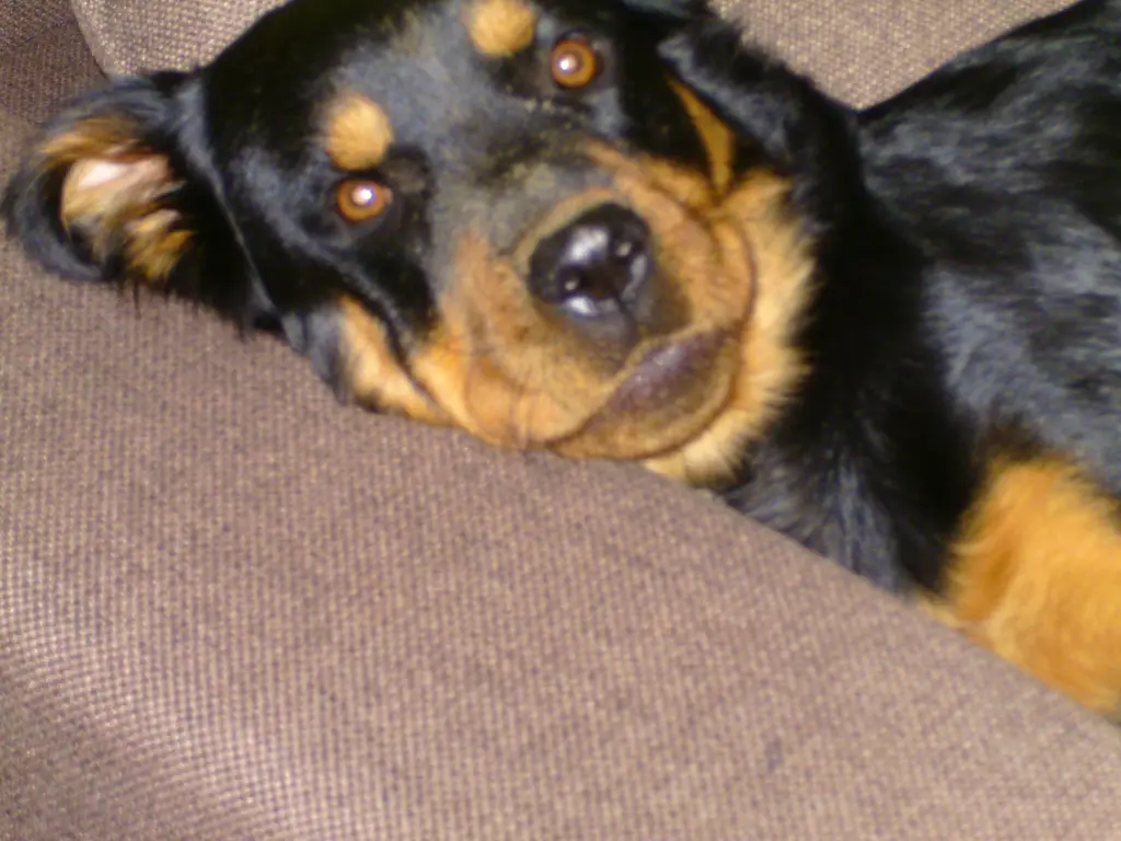 Andachtsbild von Angelika