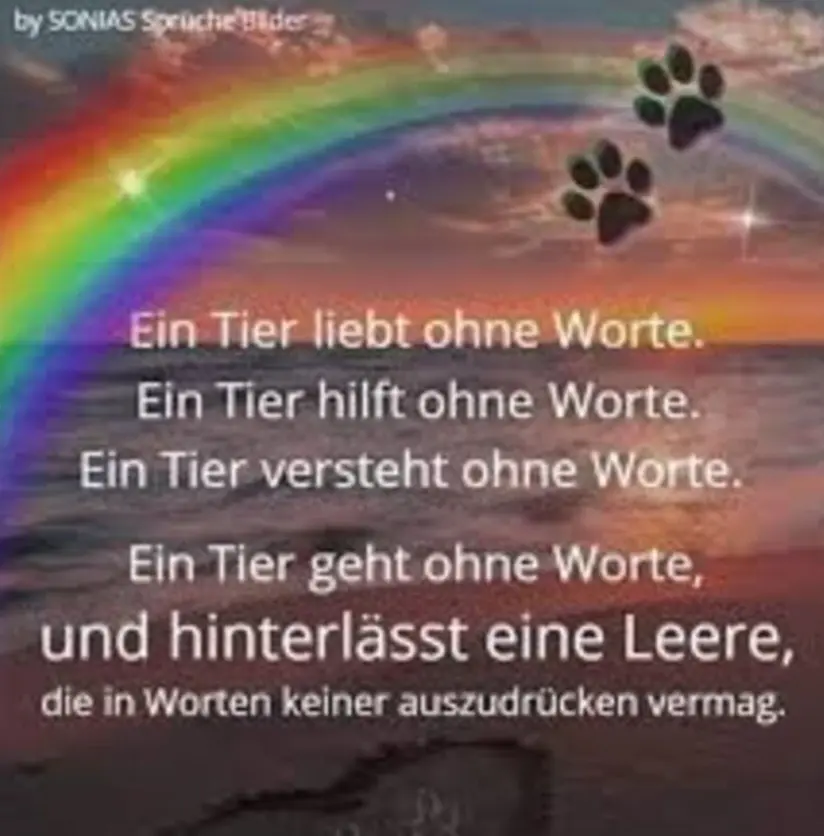 Condolence image of Karina und Jörg mit Floyd im ❤