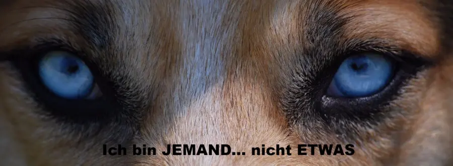 Condolence image of Karina und Jörg mit Floyd im Herzen