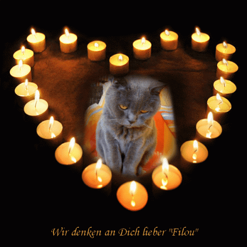 Image from filouchen