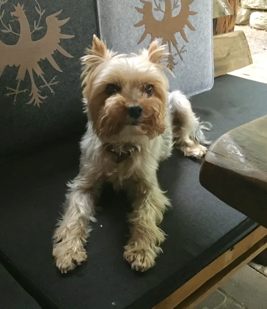 Image from Felix