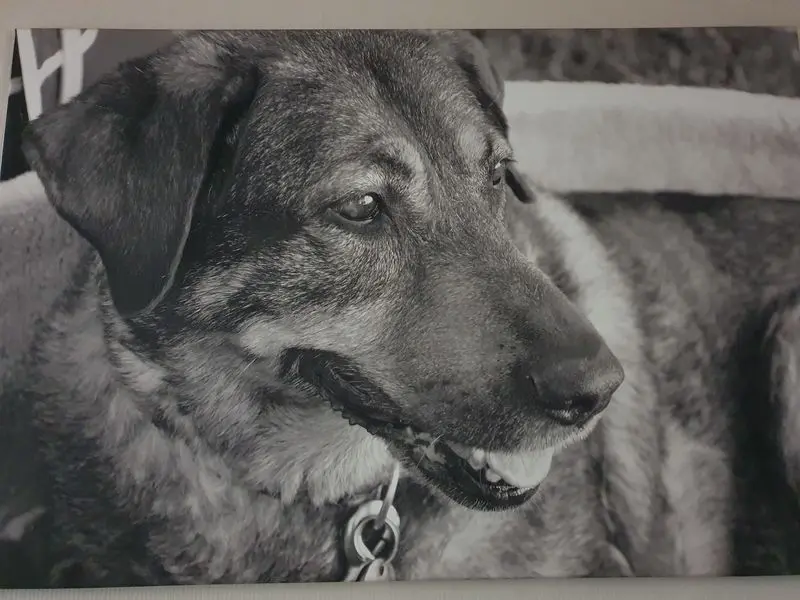 Condolence image of Alex