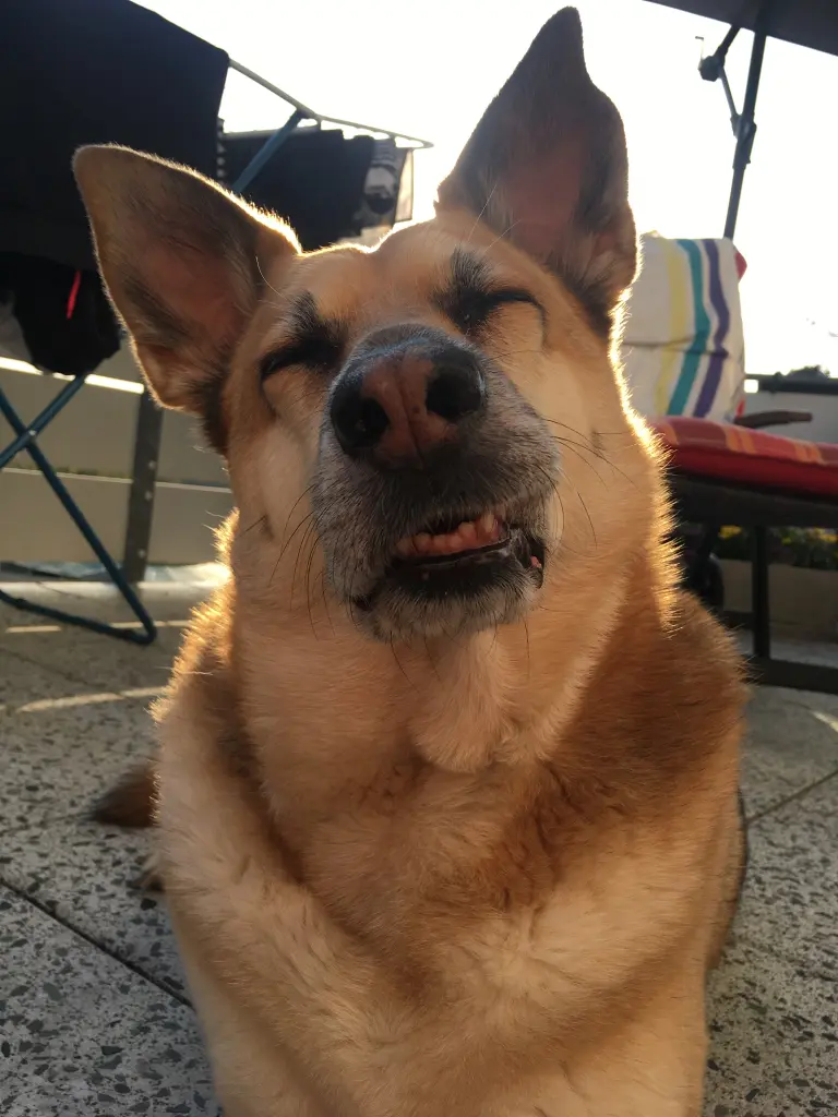 Image from Beachy