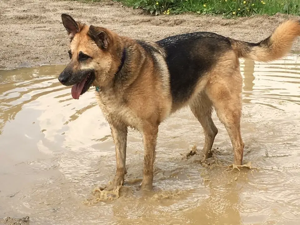 Image from Beachy