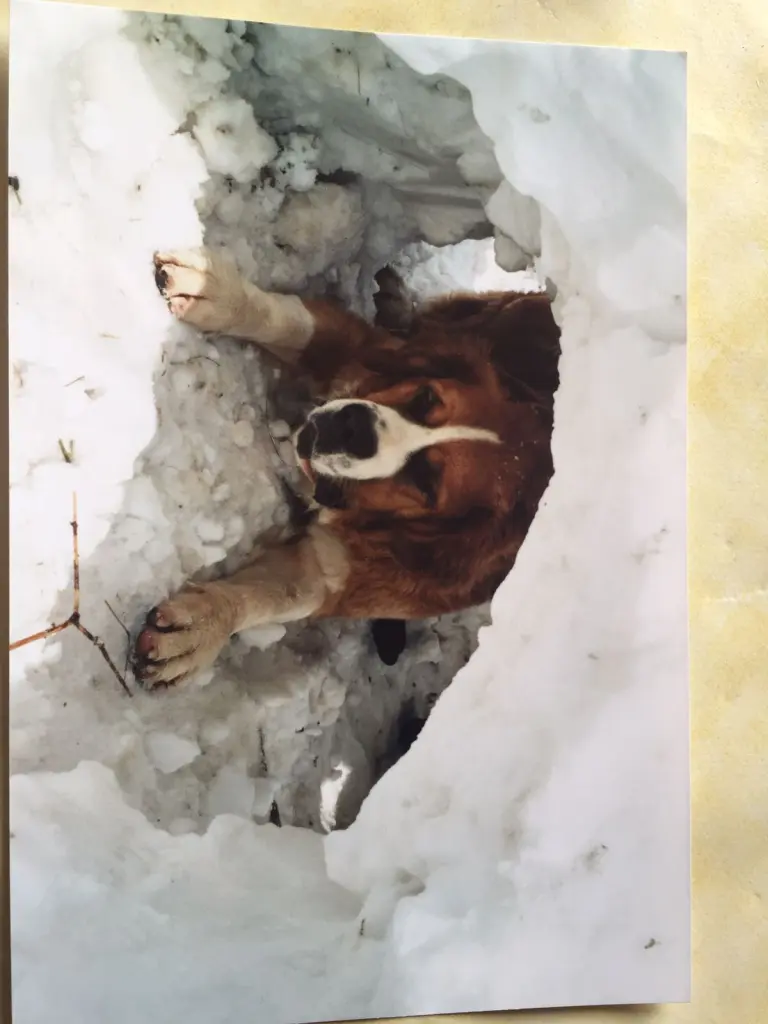 Condolence image of Margret