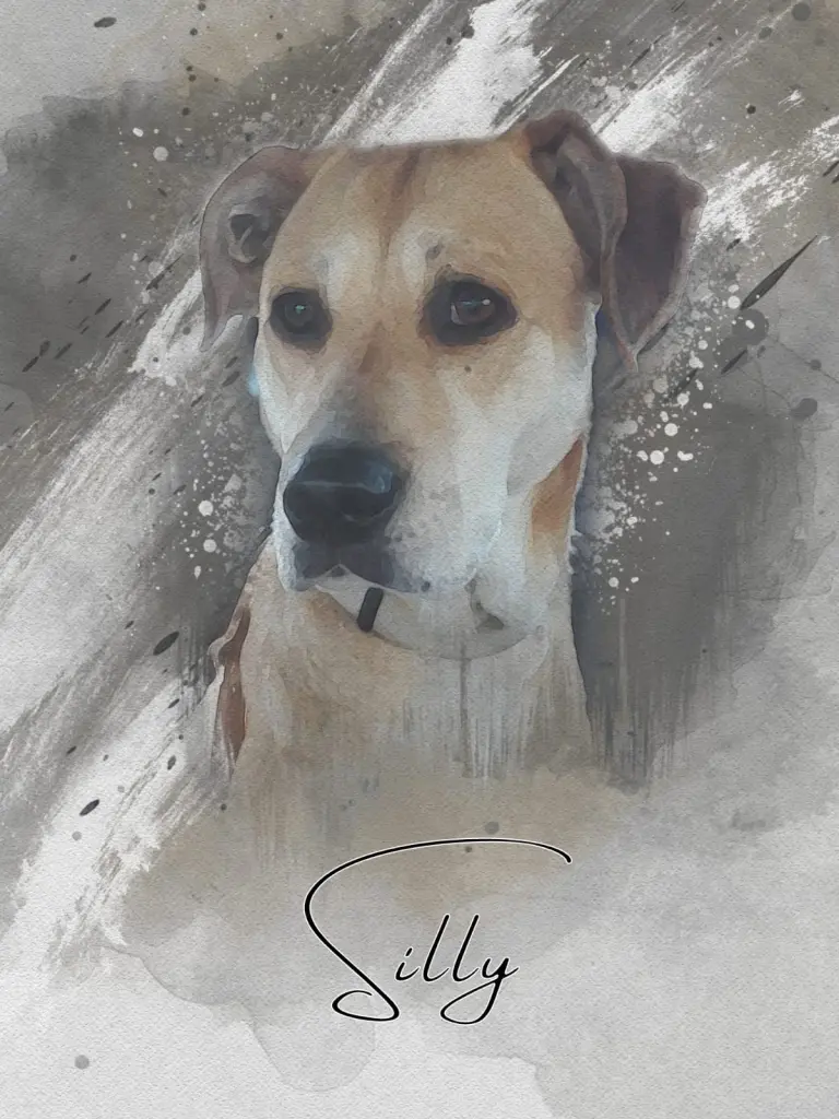 Condolence image of Sabrina